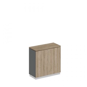 Шкаф для документов закрытый низкий Speech Cube (90x40x88.1) СИ 322 ДС АР ДС в Петропавловске-Камчатском