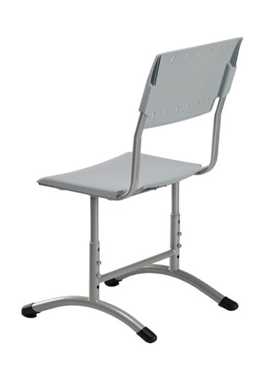Детский стул регулируемый Отличник.3 3-5, Серый RAL 7040/Светло-серый в Петропавловске-Камчатском - изображение 1
